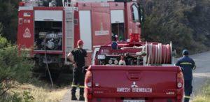 Δευτέρα, 24 αυγούστου 2020 15:47. Dionysos Fwtia Twra Sth Rodopolh Attikhs Edisorama Gr