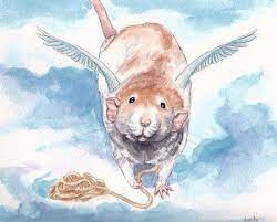 The Art Of The Illustrated Rat Angel Wimbley Cute Rats Cute Animals Pet Rats