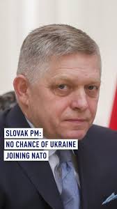 Slovak PM Fico Discusses Ukraine's NATO Prospects