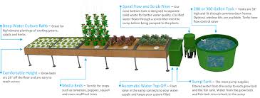 Aquabundance Modular Aquaponic Systems The Aquaponic Source
