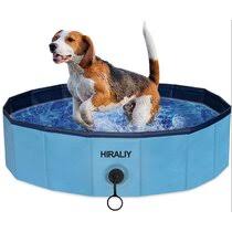 Where can i buy a plastic kiddie pool. Hard Plastic Pool For Kids Wayfair