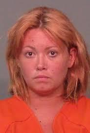 Fort Mill Mom Arrested For Driving With Child On The Roof Of Vehicle