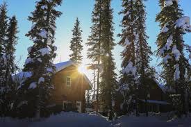 The map provides terrain formations, cliffs, elevations that will bring a bit of realism to your game. The Cabin In The Woods 2 æ£®æž—å°å±‹ 2 Fairbanks Updated 2021 Prices