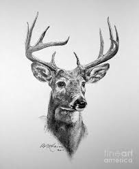 Black And White Deer Head Drawing Black And White Watercolors Google Search Deer Art Print Deer Drawing Deer Sketch