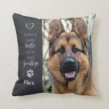 Our pet pillow cover features: Dog Pillows Cushions Zazzle Ca