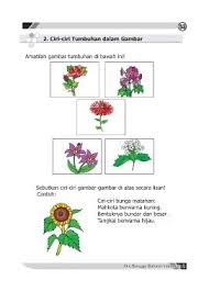 Setiap kepala bunga matahari terbentuk dari bunga yang lebih kecil. Halaman Download Wow 30 Gambar Bunga Matahari Dan Ciri Cirinya Sketsa Gambar