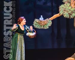 Starstruck Theatre S Shrek Morning Person Musicals Theatre Starstrucktheatre Shrekthemusical Performance Art Shrek Movie Night