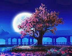 See only photos or all resources. Cherry Blossom Tree By Moonlight Night Landscape Paint By Number Wall Art Pictures