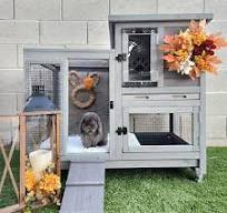 Indoor-Outdoor Rabbit Hutch | Bunny Hutch -Aivituvin