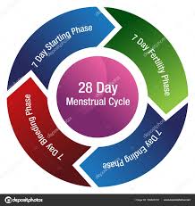 50 actual menstrual chart template