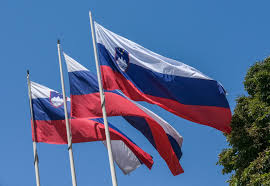 Marina belviso.nuda she seems brand new to this therefore