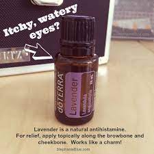 Itchy Watery Eyes Try Lavender Essential Oil Stephanie Blue Ameo Essential Oils Healing Essential Oils Lavender Essential Oil