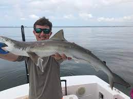 Maybe you would like to learn more about one of these? Late Afternoon Shark Fishing In Tampa Bay Picture Of Spanish Sardine Fishing Charter St Petersburg Tripadvisor