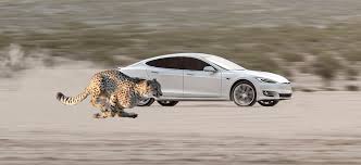 The 2020 tesla model s is a continuation of the vehicle that turned the automotive world on its head we tested a tesla model s performance vehicle after we had our alfa romeo stelvio for a year. Tesla Updates Model S Performance 0 60 Mph Acceleration To 2 3 Seconds Electrek