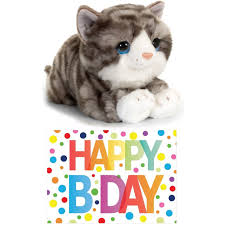 Cadeau Setje Pluche Grijze Kat Poes Knuffel 32 Cm Met Happy Birthday Wenskaart Fun En Feest