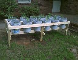Diy Plastic Bucket Raised Garden Bed Vegetable Garden Raised Beds Diy Raised Garden Raised Garden Beds