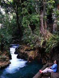Uruapan is the second largest city in the mexican state of michoacán. 85 Uruapan Michoacan De Ocampo Ideas Michoacan Uruapan Mexico