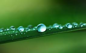 صورة وكلمة صور قطرات ماء