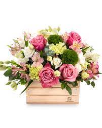See the complete profile on linkedin and discover flori's. Ladita Cu Flori Delicate Magnolia Ro