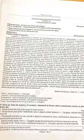 1,141 likes · 60 talking about this. Bacalaureat 2021 Subiectele La Limba RomanÄƒ Anul Acesta Programa A Fost SimplificatÄƒ In Contextul Pandemiei Ziarul De InvestigaÈ›ii