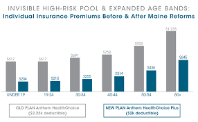 Invisible High Risk Pools How Congress Can Lower Premiums