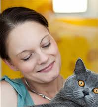 Longcroft Luxury Cat Hotel Welwyn Garden City, Hertfordshire