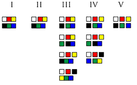 Color Naming Evolution Chart Groupings Munsell Color