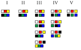 color naming evolution chart groupings munsell color