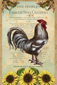 Hours may change under current circumstances Amazon Com Dot Grid Journal Rooster And Sunflower Farm Collage Notebook Convenient Size Dot Bullet Points For Journal Or Diary 9781799033219 Spring Hill Stationery Books