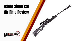 Check spelling or type a new query. Gamo Whisper Silent Cat Air Rifle Review Air Rifle Pro