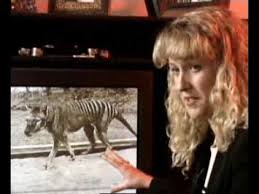Get behind the scenes with your favorite shows! Animal X Classic Music Video Storyteller Media Youtube