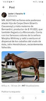 Derwin (@NENETWITER)