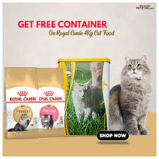 Free Container With Royal Canin Cat Food Dry Cat Food Cat Food Royal Canin