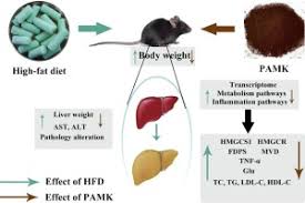 Identification of key genes involved in the alleviative effects of  Polysaccharide of Atractylodes macrocephala Koidz