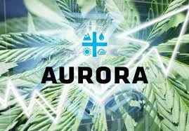 They are events that are occurring on. Aurora Cannabis Lost More Than C 3 Billion In A Chaotic Year And The Stock Is Falling Marketwatch
