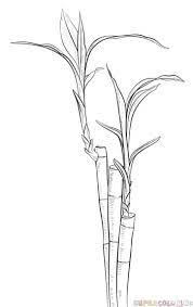 How To Draw A Bamboo Step By Step Drawing Tutorials Bamboo Drawing Step By Step Drawing Drawing Tutorial