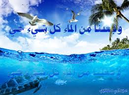 حب ما تعمل و ج ع ل ن ا م ن الم ا ء ك ل ش ي ء ح ي