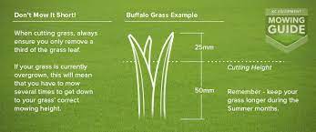 Specific mowing heights vary by grass type and can even be different for different types of the same grass. The Mowing Guide Grass Cutting Basics Kc Equipment