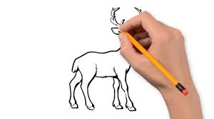 Check spelling or type a new query. Deer Pencil Drawings At Paintingvalley Com Explore Collection Of Deer Pencil Drawings