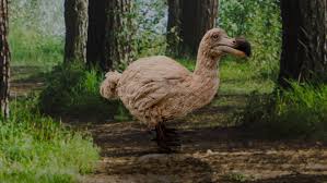 Check spelling or type a new query. Wwf Is Reviving Extinct Animals With Augmented Reality Lbbonline