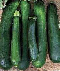 Maybe you would like to learn more about one of these? Pin On Zucchini