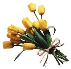 Bouquet Of Flowers Png Image Aesthetic Objects Flowers Flowers Bouquet
