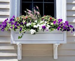 Easy Spring Window Box Ideas For Instant Curb Appeal Hooks Lattice Blog Spring Window Window Box Window Boxes