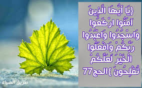 مدونة طريق الضياء ايات قرانية عن الصلاة