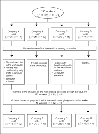 Chart Of The Study Plan And Its Contribution To The Analysis