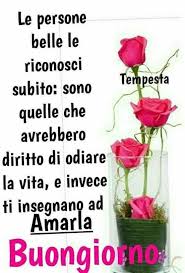 Le Migliori Immagini Di Amore Immagini Romantiche Le Foto L Amore Le Immagini Whatsapp Per Le Immagini Sarcasmo Facebook E Frasi Di Sarcasmo Buongiorno Immagini Romantiche E Buongiorno Messaggi