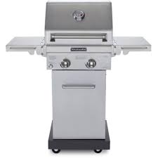 2 burner natural gas grill