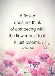 Just Bloom Flower Quotes Bloom Quotes Comparison Quotes