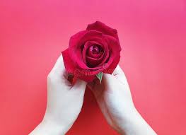 7 356 Hand Holding Beautiful Red Rose Photos Free Royalty Free Stock Photos From Dreamstime Guldasta with foam flower and waste plastic bottle at home best out of waste guldasta flower pot. hand holding beautiful red rose photos