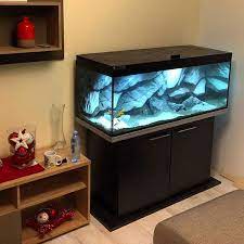 You just can't get up from your sleep one day and decide to bring in fish and an aquarium at your home and expect that everything will go smoothly. Small Aquarium In A Bedroom Aquarium Fish Tank Cabinets Small Aquarium